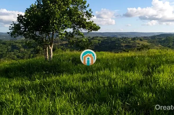 Refúgio em Serraria - 7.000 m² com casa e fruteiras, excelente estrutura