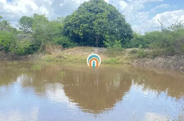 Refúgio em Serraria - 7.000 m² com casa e fruteiras, excelente estrutura