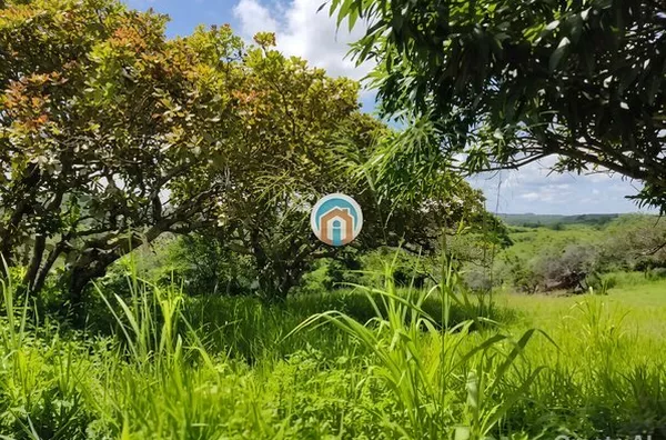 Refúgio em Serraria - 7.000 m² com casa e fruteiras, excelente estrutura