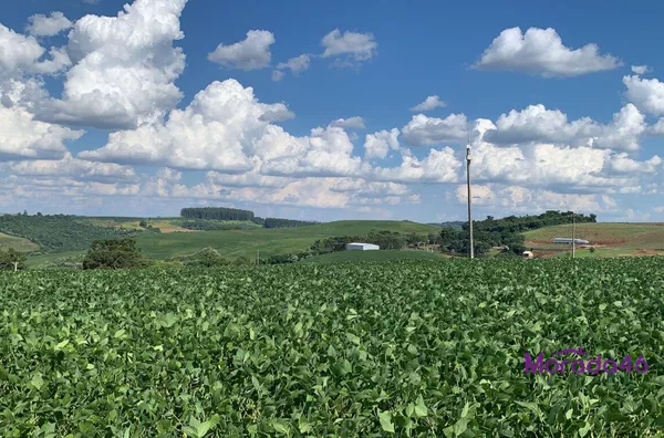 ÁREA RURAL EM MARMELEIRO