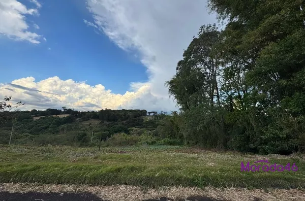 TERRENO A VENDA EM PATO BRANCO