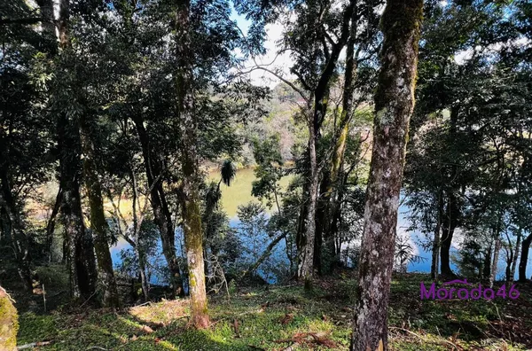 ÁREA RURAL/CHÁCARA PARA VENDA,  - NÚCLEO CAÇADOR - PRÓXIMO AO TREVO PATROLINHA, PATO BRANCO