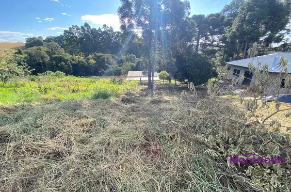 TERRENO À VENDA NO BAIRRO FRARON - Foto 6
