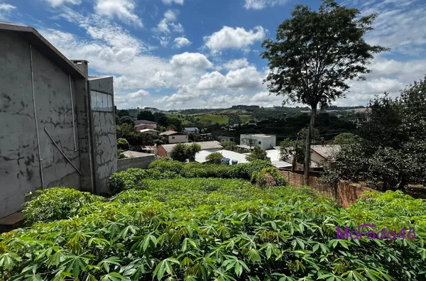 TERRENO PARA VENDA NO BAIRRO CRISTO REI