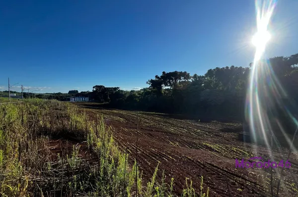 TERRENO PARA VENDA NO BAIRRO FRARON