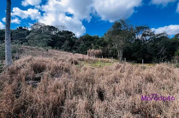 ÁREA RURAL/CHÁCARA PARA VENDA,  - NÚCLEO CAÇADOR - PRÓXIMO AO TREVO PATROLINHA, PATO BRANCO