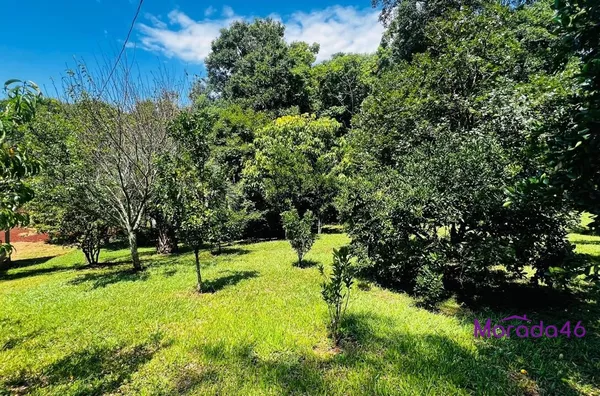 CHACÁRA PARA VENDA EM PATO BRANCO - Foto 5