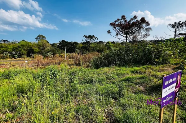 TERRENO PARA VENDA NO BAIRRO PAGNONCELLI