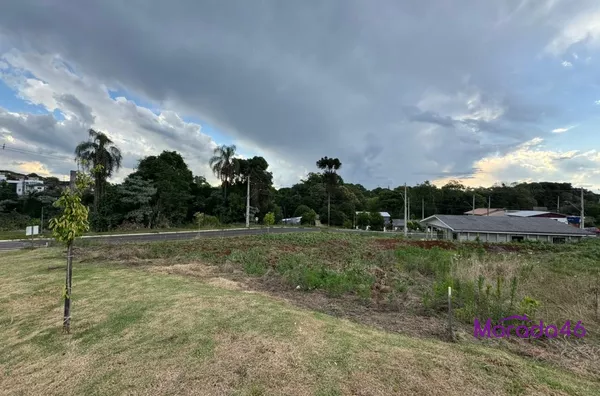 TERRENO A VENDA EM PATO BRANCO