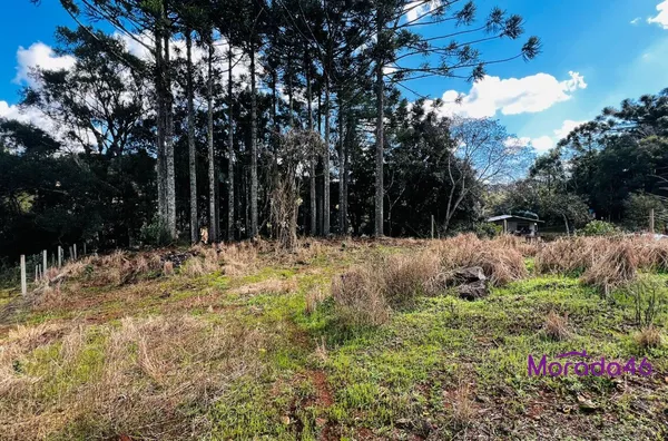 ÁREA RURAL/CHÁCARA PARA VENDA,  - NÚCLEO CAÇADOR - PRÓXIMO AO TREVO PATROLINHA, PATO BRANCO