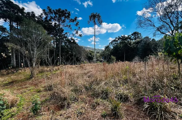 ÁREA RURAL/CHÁCARA PARA VENDA,  - NÚCLEO CAÇADOR - PRÓXIMO AO TREVO PATROLINHA, PATO BRANCO