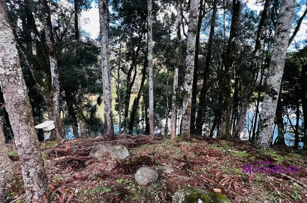 ÁREA RURAL/CHÁCARA PARA VENDA,  - NÚCLEO CAÇADOR - PRÓXIMO AO TREVO PATROLINHA, PATO BRANCO