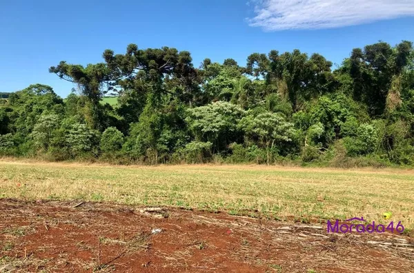 TERRENO PARA VENDA NO BAIRRO FRARON