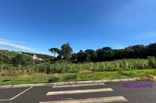 TERRENOS PARA VENDA EM PATO BRANCO 