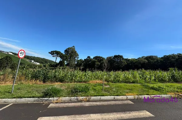 TERRENOS PARA VENDA EM PATO BRANCO 