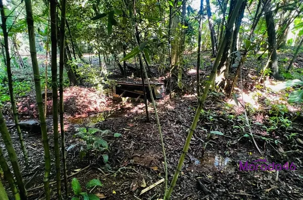 CHACÁRA PARA VENDA EM PATO BRANCO - Foto 6