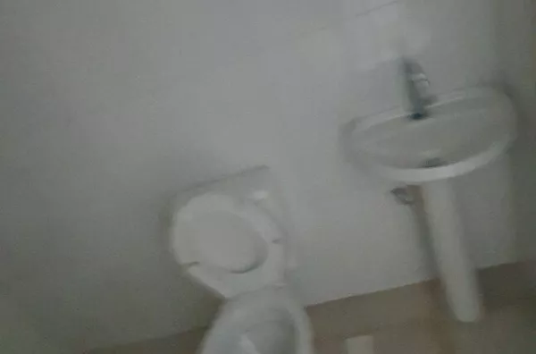 Casa para aluguel, 1 quarto(s),  Jardim Dos Bichinhos, São Paulo