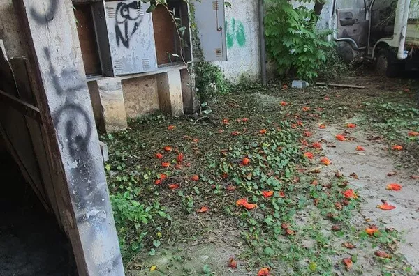 Terreno -  - SOCORRO - SAO PAULO - SP - Foto 5