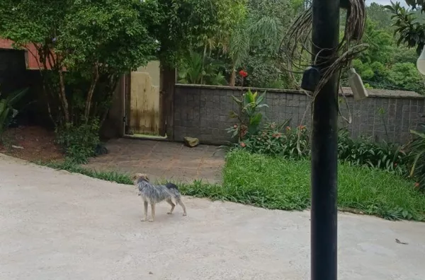 Chácara para venda,  Parelheiros, São Paulo - Foto 6