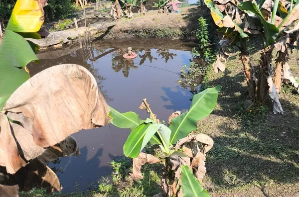 Chácara para venda,  Parque Lagoa Rica, São Paulo - Foto 6