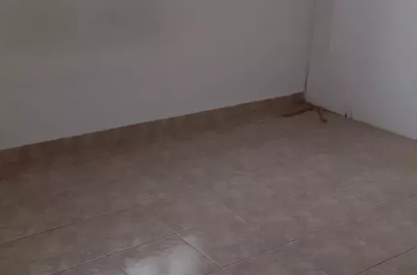 Jardim Tanay, São Paulo - Foto 3