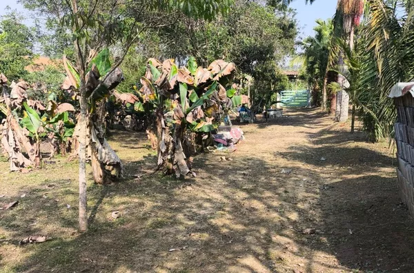 Chácara para venda,  Parque Lagoa Rica, São Paulo - Foto 5