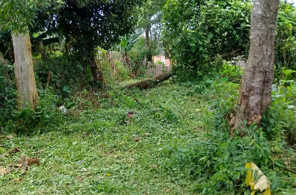 Casa para venda, 1 quarto(s),  Jardim Papai Noel, São Paulo - Foto 1