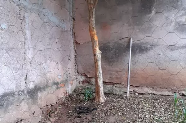 Jardim Tanay, São Paulo - Foto 6