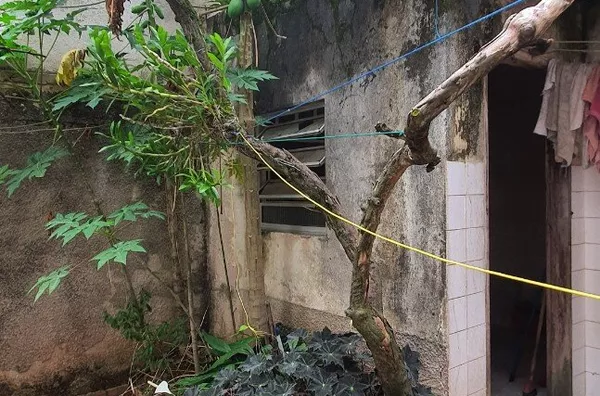 Sobrado -  - JARDIM GUANHEMBU - SAO PAULO - SP - Foto 4