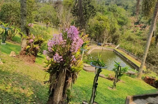 Chácara para venda,  - Selecione - Bairro, São Paulo - Foto 4