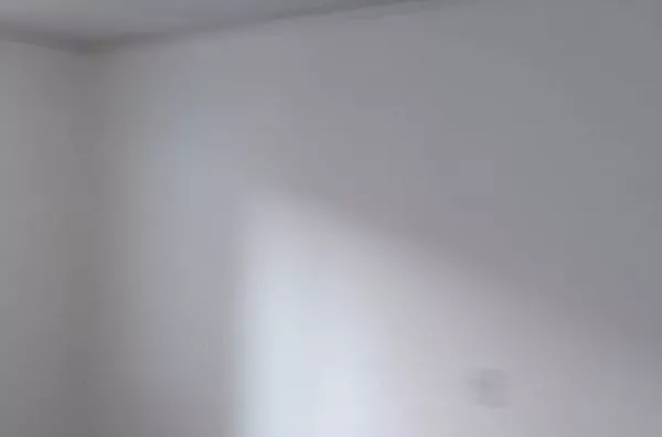 Casa para aluguel, 1 quarto(s), Jardim Castro Alves, São Paulo - Foto 18