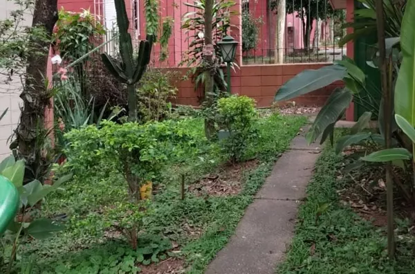 Apartamento -  - Parque das Árvores - São Paulo - SP