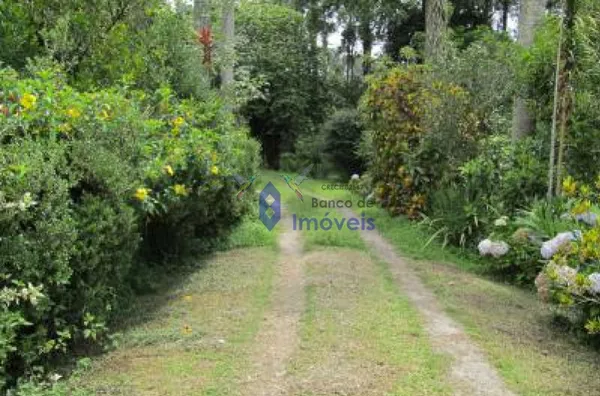 Área -  - CHACARA SAO SILVESTRE - SAO PAULO - SP - Foto 6