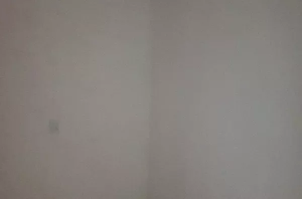 Casa para aluguel, 2 quarto(s),  Jardim Dos Bichinhos, São Paulo - Foto 3