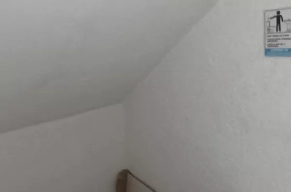 Salão térreo para aluguel,  Jardim Dos Bichinhos, São Paulo - Foto 5