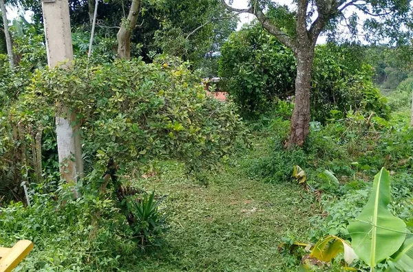 Casa para venda, 1 quarto(s),  Jardim Papai Noel, São Paulo - Foto 2