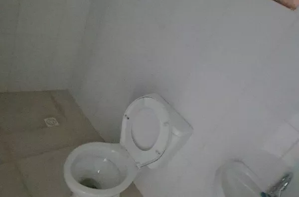 Casa para aluguel, 1 quarto(s),  Jardim Dos Bichinhos, São Paulo