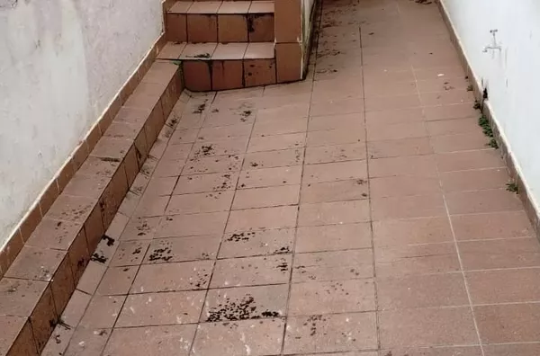Casa para aluguel, Jardim São Bernardo, São Paulo - Foto 15