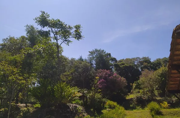 Chácara para venda,  , Vargem - Foto 5