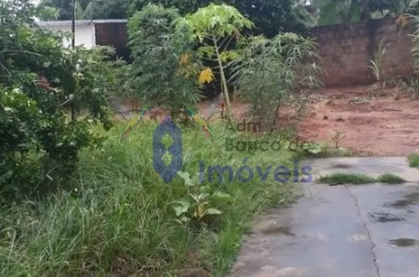 Casa -  - Vila Cayres - Lucélia - SP - Foto 2