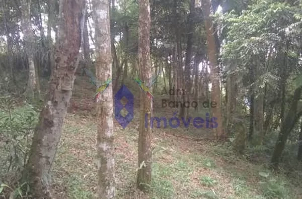 Chácara -  - Parque Lagoa Rica - São Paulo - SP - Foto 6