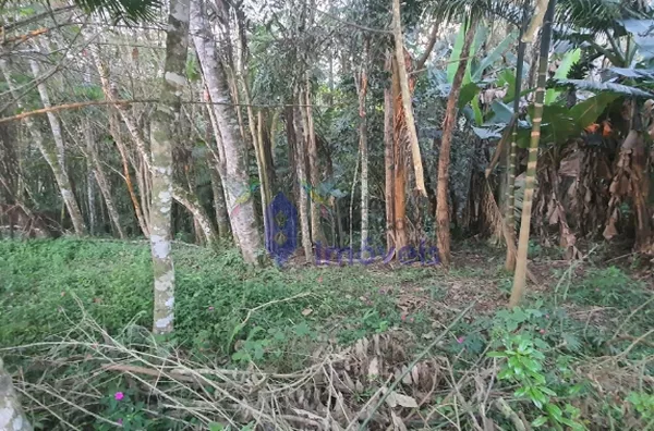 Chácara -  - Parque Lagoa Rica - São Paulo - SP - Foto 5