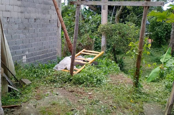 Casa para venda, 1 quarto(s),  Jardim Papai Noel, São Paulo - Foto 3