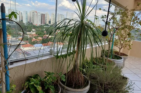 Cobertura para venda,  Brooklin Paulista, São Paulo - Foto 2