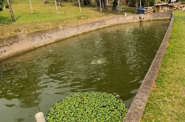 Chácara para venda,  - Selecione - Bairro, São Paulo - Foto 5