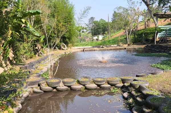 Chácara para venda,  Parque Lagoa Rica, São Paulo - Foto 1