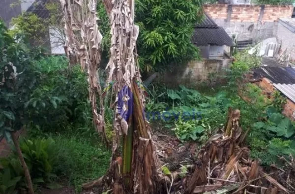 Casa -  - Parque Cocaia - São Paulo - SP - Foto 4