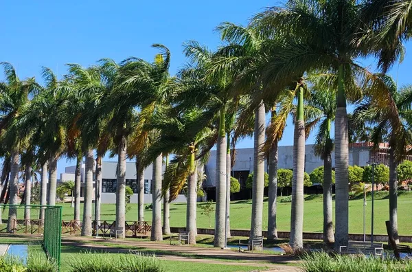 Terreno para venda, CONDOMINIO LAGO DO BOSQUE  Cornélio Procópio - Foto 3