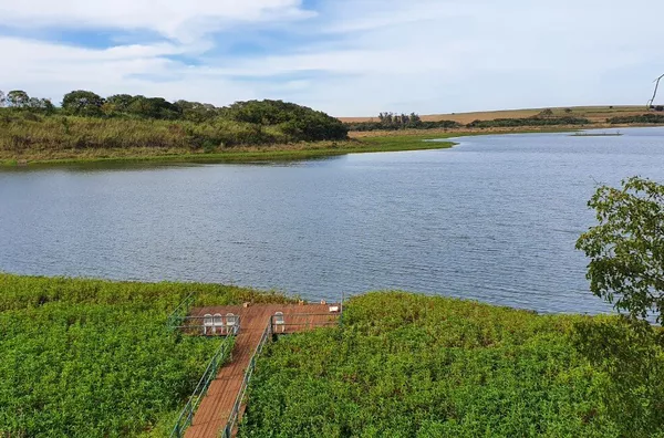 Terreno para venda,  Bairro água Do Horácio, Sertaneja - Foto 5