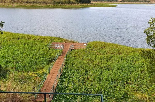 Terreno para venda,  Bairro água Do Horácio, Sertaneja - Foto 6